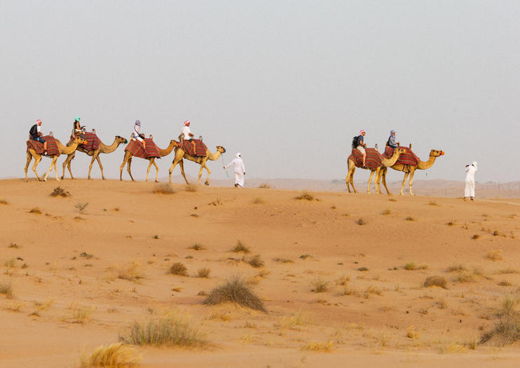 Dubai Desert Safaris